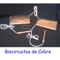 biocircuito Image
